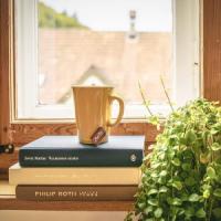 How to Replace a Window Using Backer Rods
