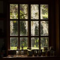 Secure Your Door and Window Screens Using Foam Screening Spline