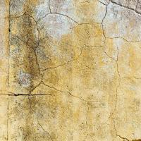 The Role of Backer Rods in Preventing Water Damage