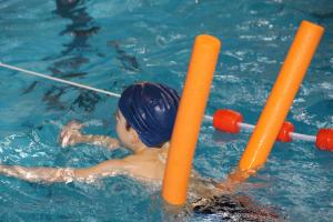 The Versatility of Pool Noodles
